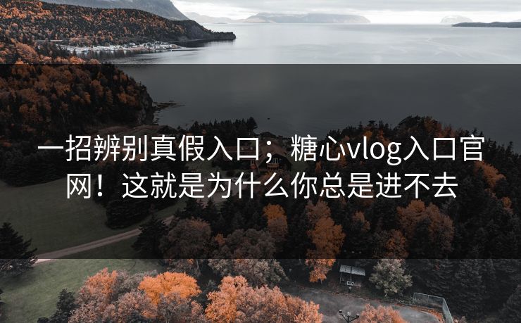 一招辨别真假入口；糖心vlog入口官网！这就是为什么你总是进不去